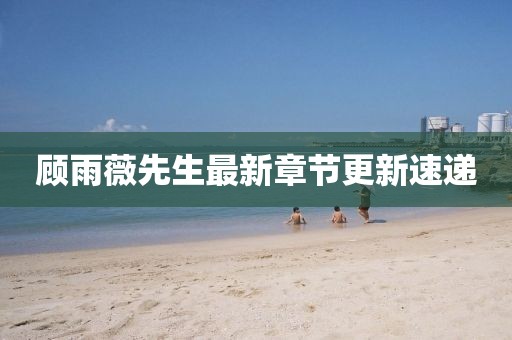 顧雨薇先生最新章節(jié)更新速遞