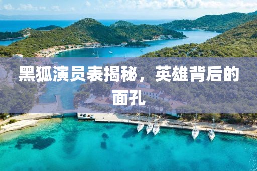 黑狐演員表揭秘，英雄背后的面孔