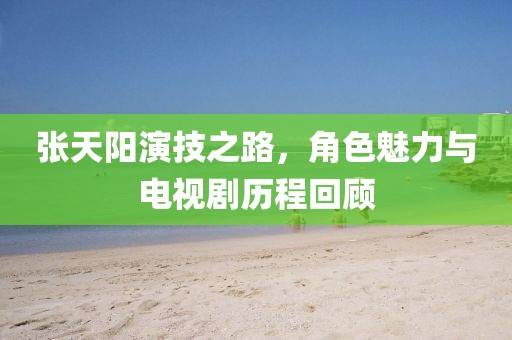 張?zhí)礻栄菁贾罚巧攘εc電視劇歷程回顧
