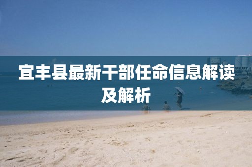 宜豐縣最新干部任命信息解讀及解析