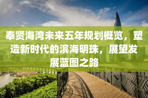 奉賢海灣未來五年規(guī)劃概覽，塑造新時代的濱海明珠，展望發(fā)展藍(lán)圖之路