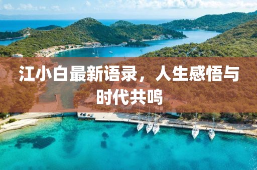 江小白最新語錄，人生感悟與時(shí)代共鳴