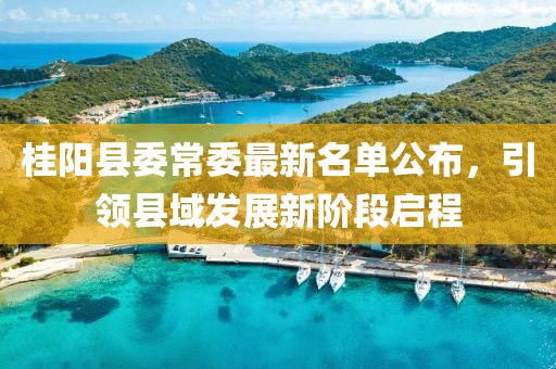 桂陽縣委常委最新名單公布，引領縣域發(fā)展新階段啟程
