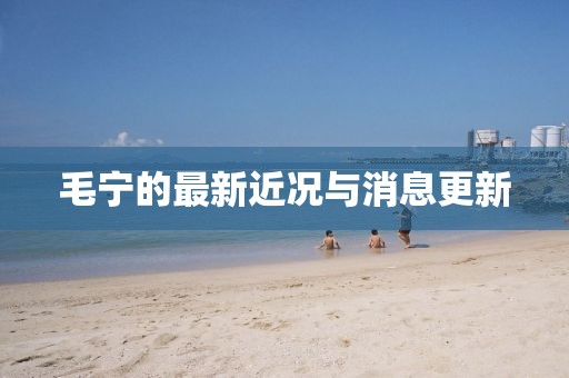 毛寧的最新近況與消息更新