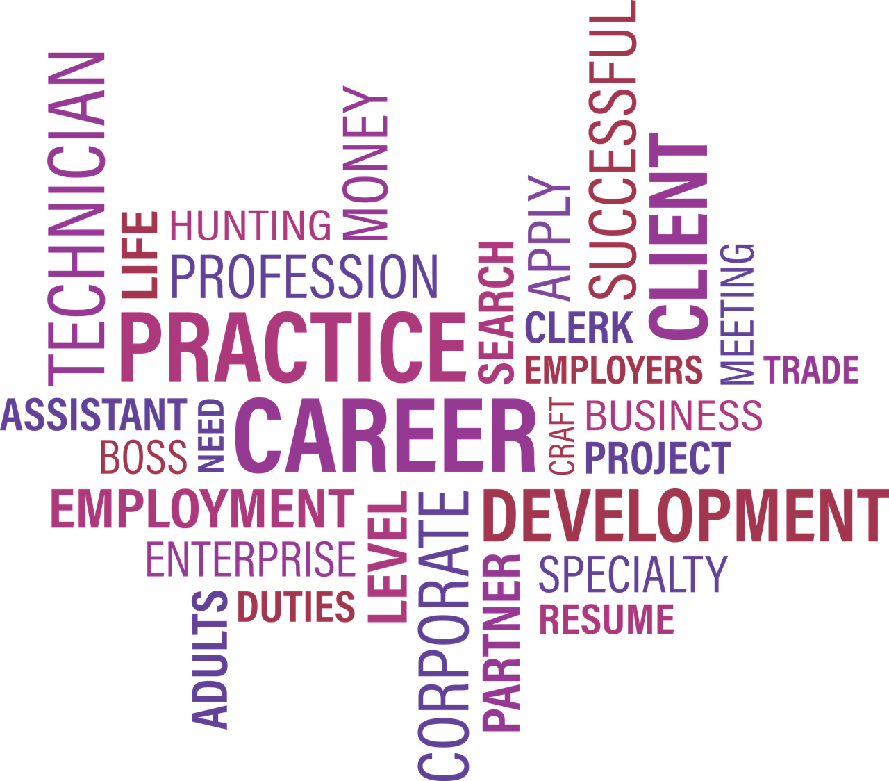 合肥經(jīng)開區(qū)最新職位招聘，人才與機遇的交匯點探尋