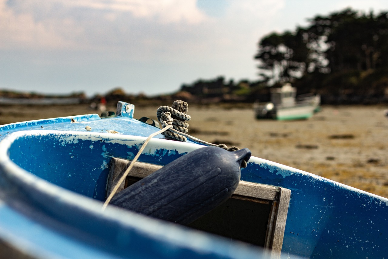 2025年2月 第11頁