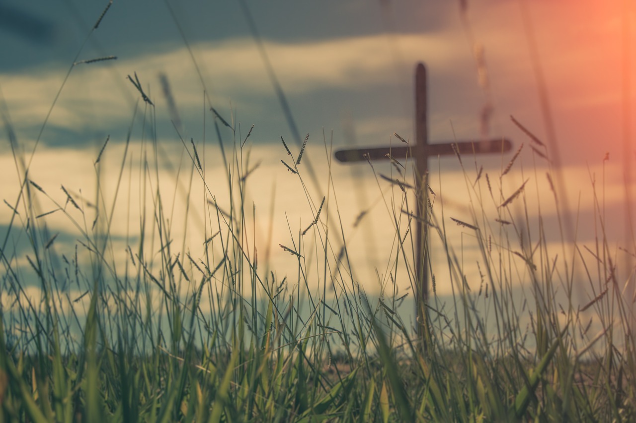 三體演員，從文字到熒屏的跨越之旅