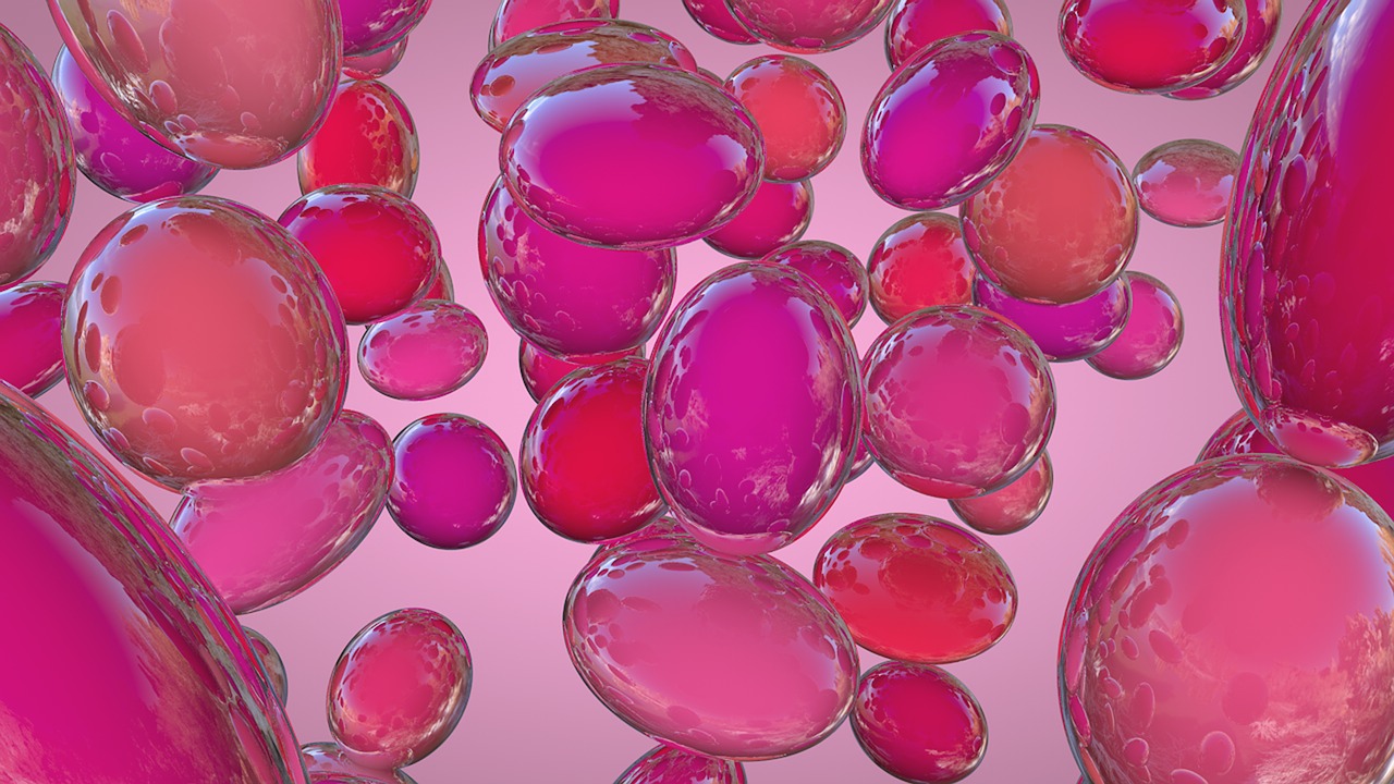 國宏馬少華最新動態(tài)揭秘，卓越領(lǐng)導(dǎo)者的前沿領(lǐng)域探索之旅