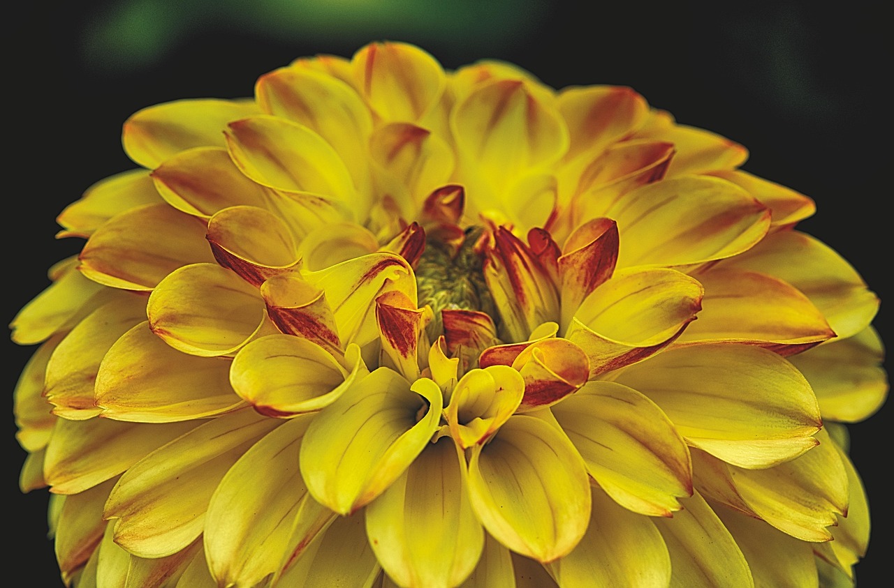 杭州地鐵11號(hào)線藍(lán)圖初繪，最新動(dòng)態(tài)揭示未來已來