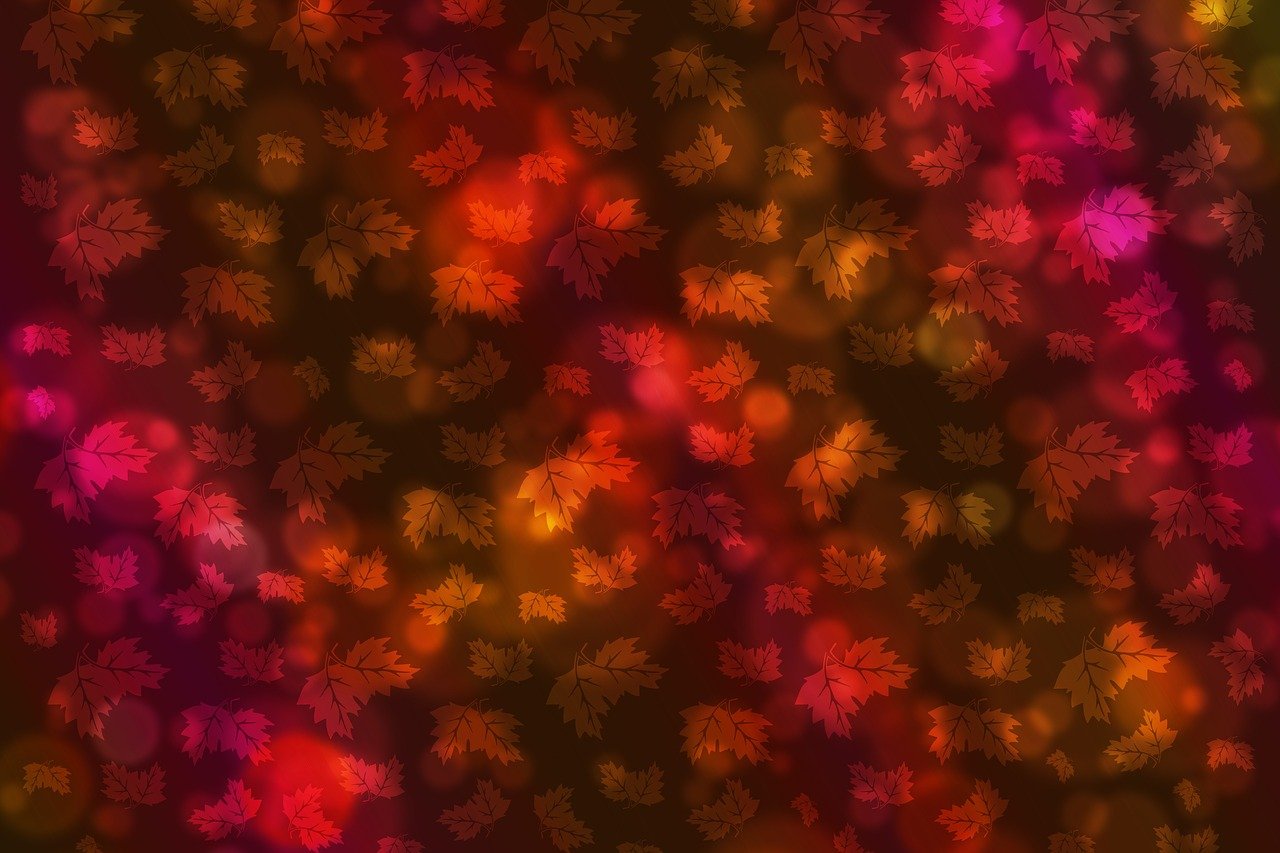 茂名之星璀璨閃耀，熠熠生輝的明星群像