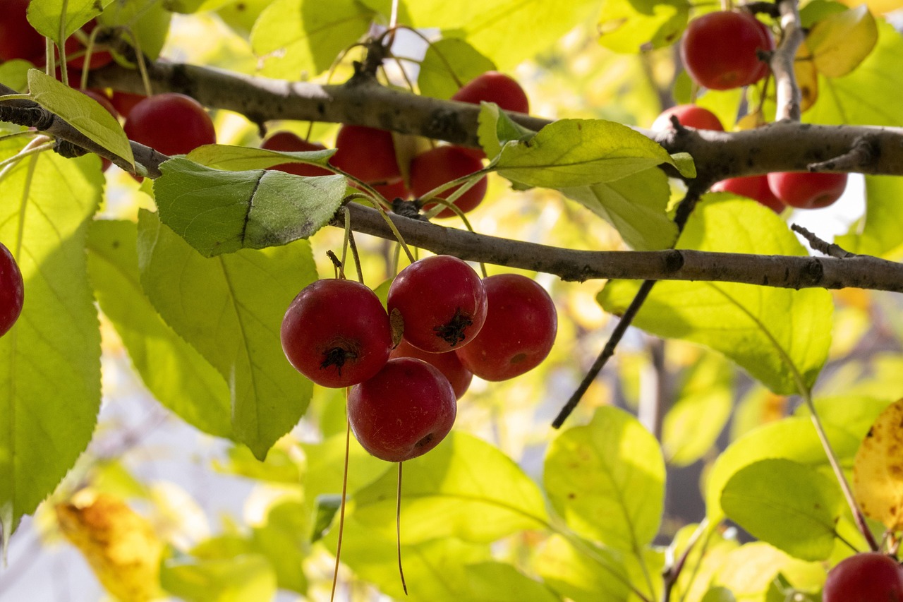 國(guó)安最新動(dòng)態(tài)引領(lǐng)安全領(lǐng)域新發(fā)展