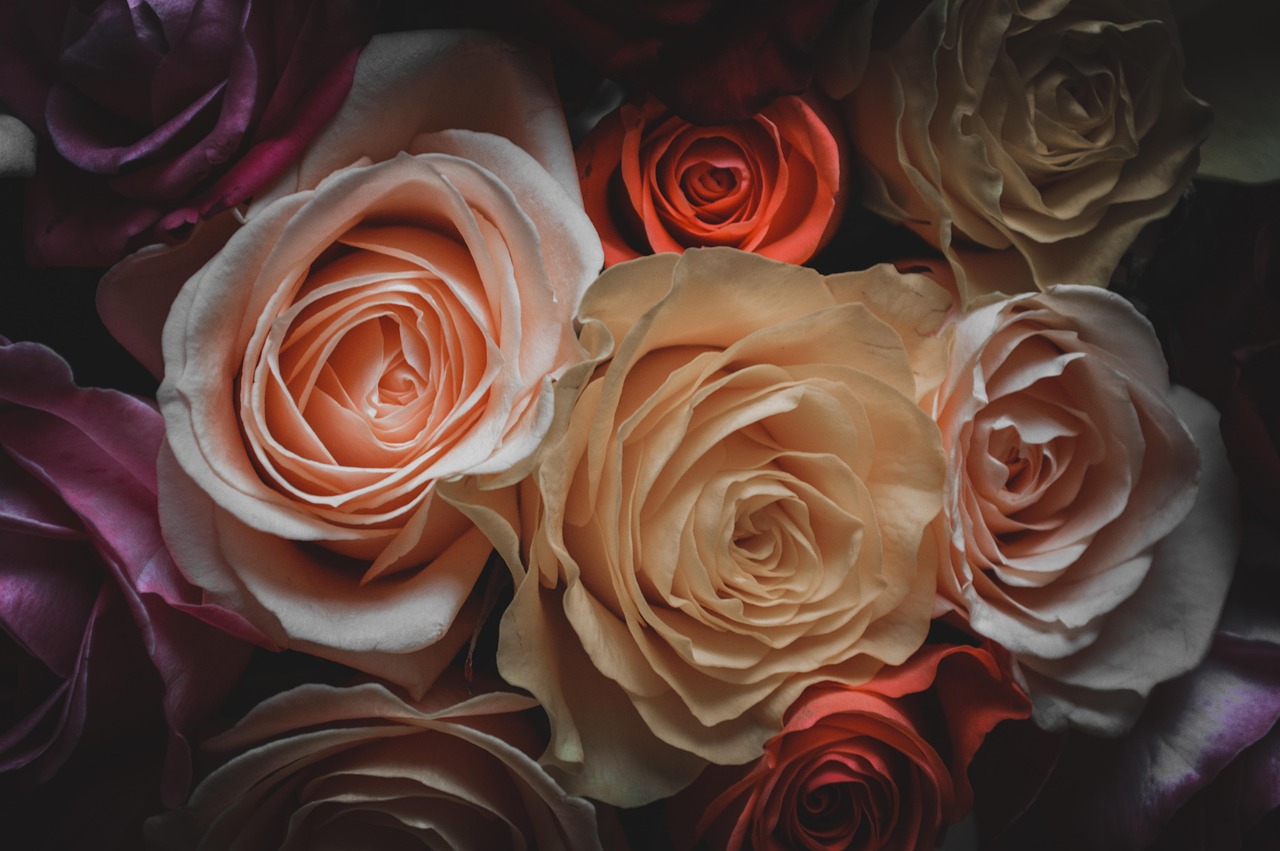 動漫雨景，情感與故事的交織圖片欣賞