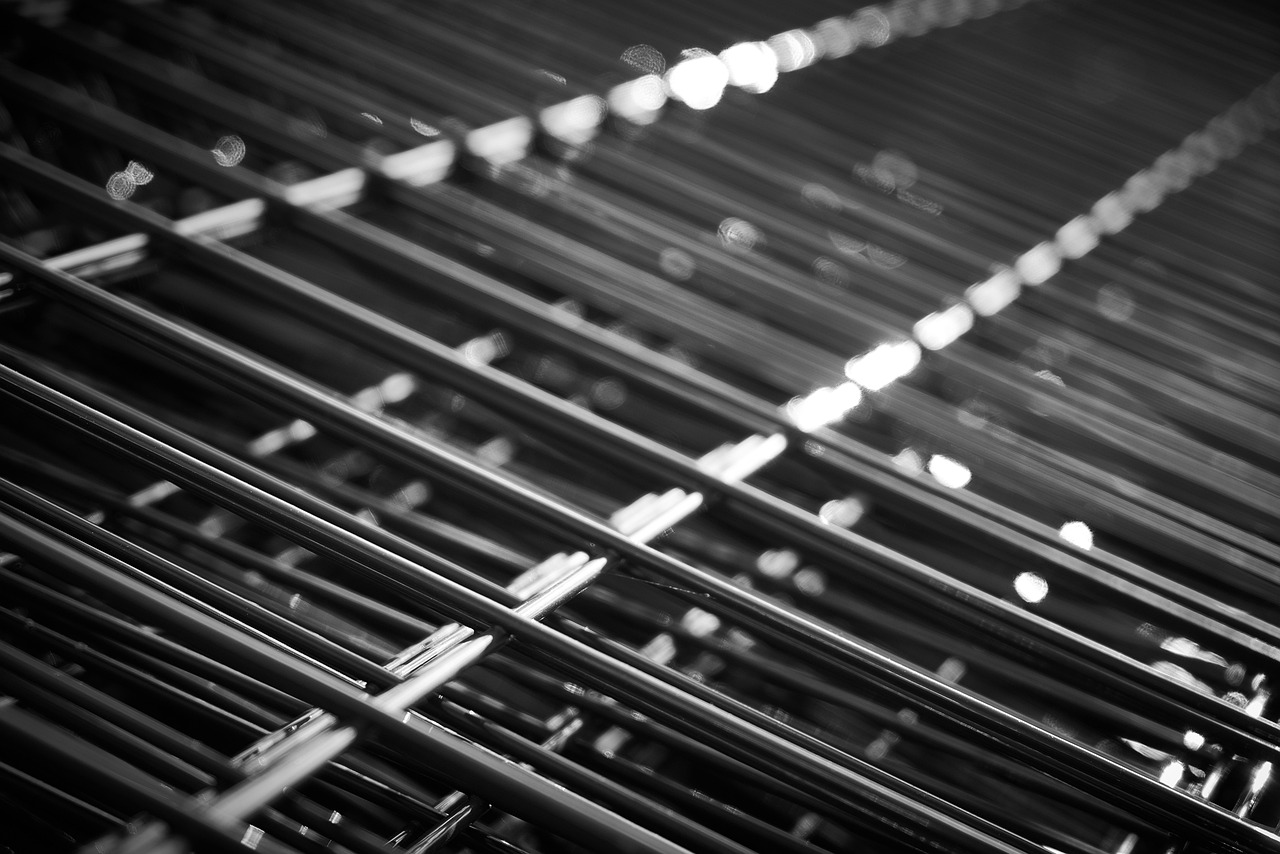 新疆紅棗價(jià)格行情分析與趨勢(shì)預(yù)測(cè)