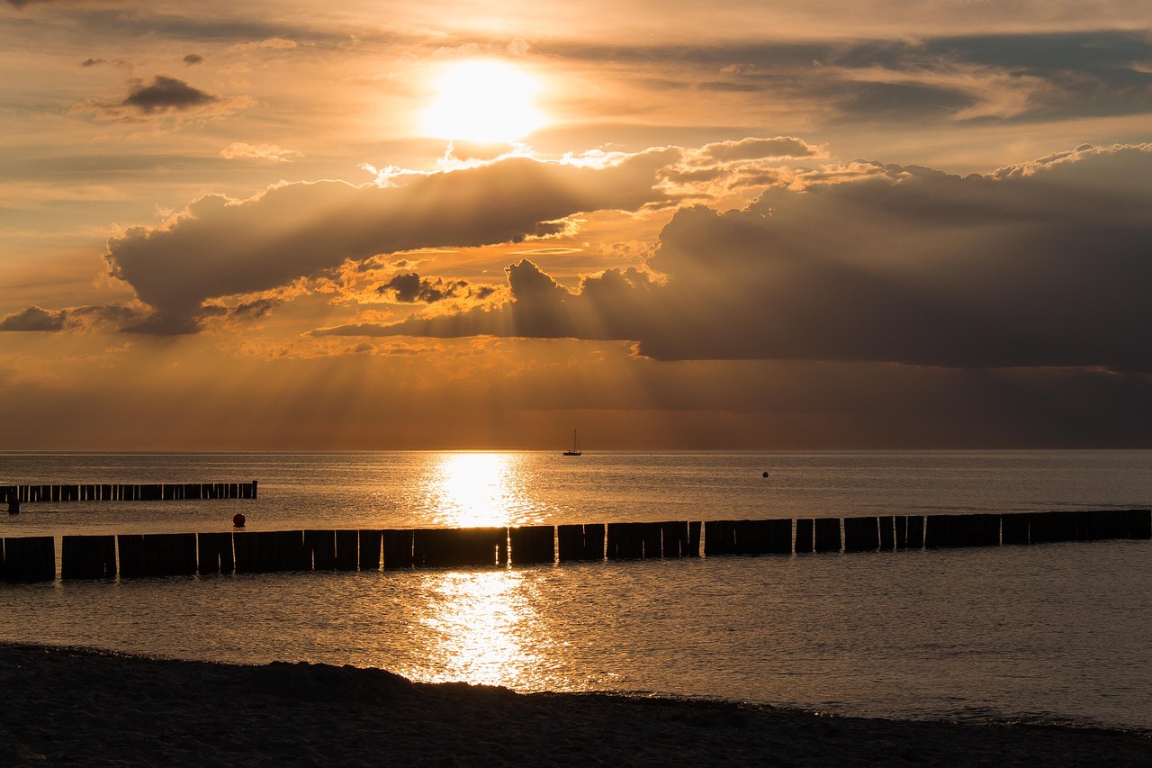 娛樂(lè)直播盛宴前瞻，最新動(dòng)態(tài)與前沿直播預(yù)告一網(wǎng)打盡