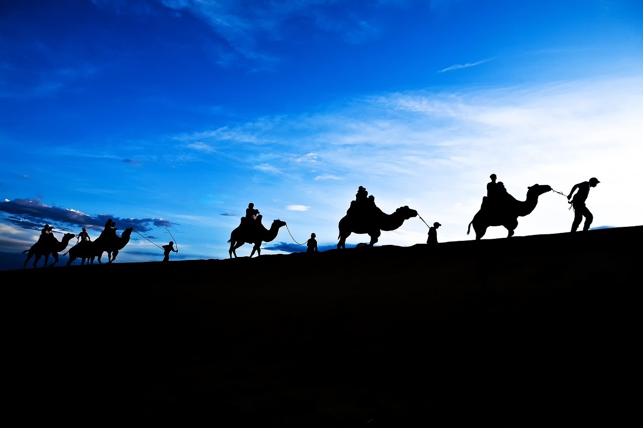 探索2017年度熱門廣場(chǎng)舞的魅力，舞動(dòng)新時(shí)代